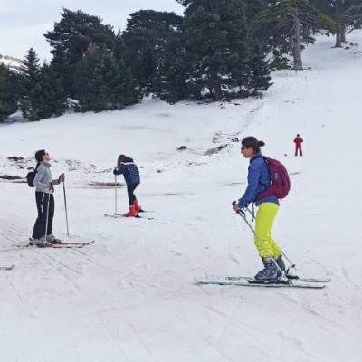 Ski.group.session