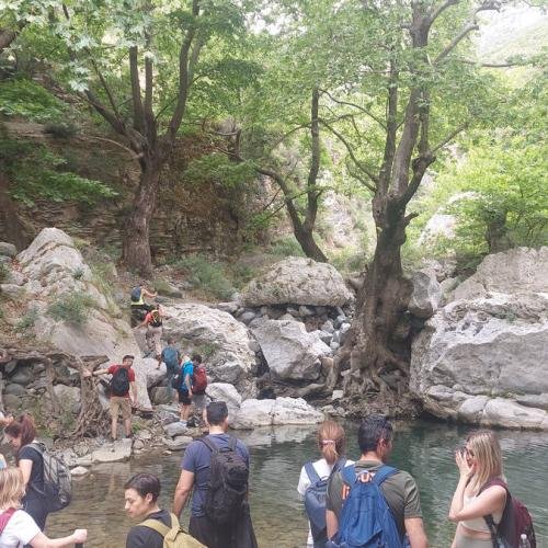 Καταρράκτης Μανικιάτης – Άγρια ομορφιά στην καρδιά της Εύβοιας