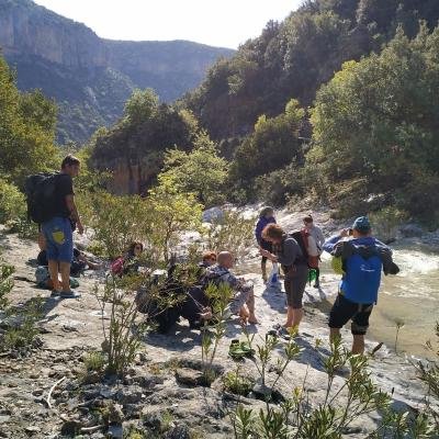 Climbing Leonidio11