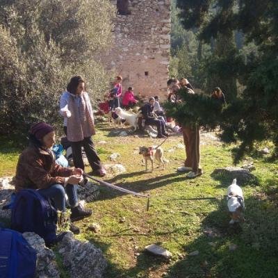 Pezoporia Me Skilous8