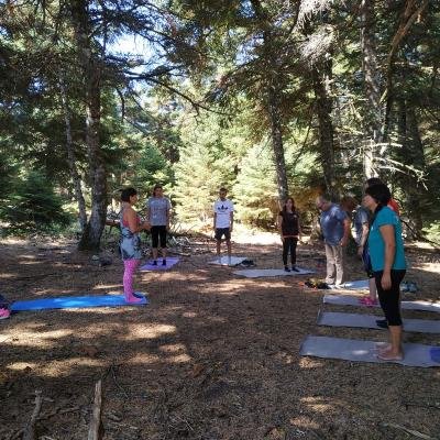 Pezoporia Yoga Parnitha2