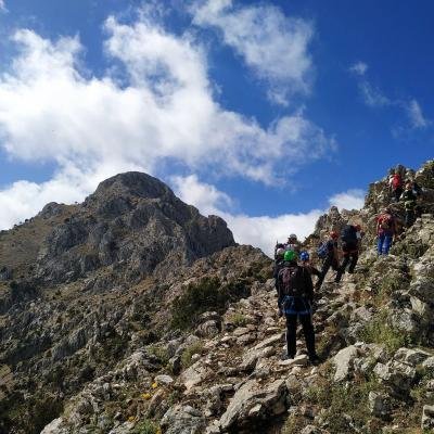 Xtenia Artemisiou4