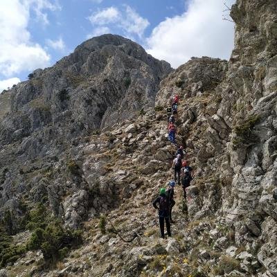 Xtenia Artemisiou7