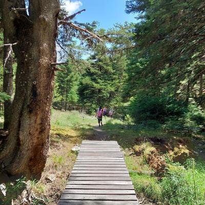 Menalon Trail Magouliana Valtesiniko6