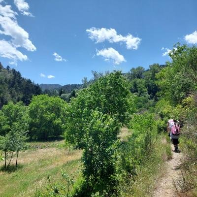 Menalon Trail Magouliana Valtesiniko9