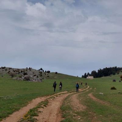 Parnonas Anavasi Tourla11