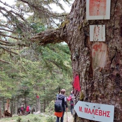 Parnonas Anavasi Tourla12