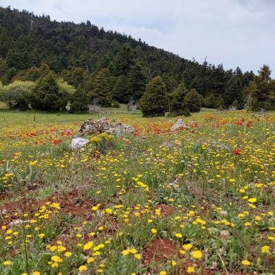 Parnonas Anavasi Tourla13