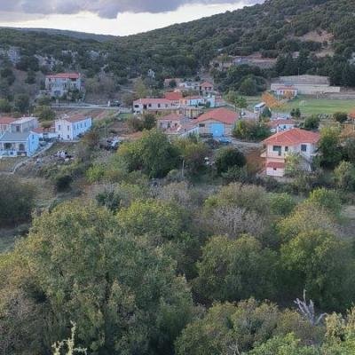 Kastanodasos Karyes Parnonas4