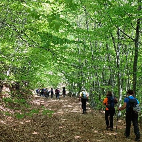Πήλιο: Το Μαγευτικό Βουνό των Κενταύρων