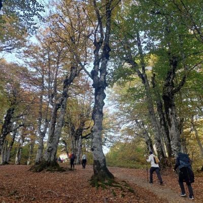 Diasxisi Grammeni Oxia Fysi19
