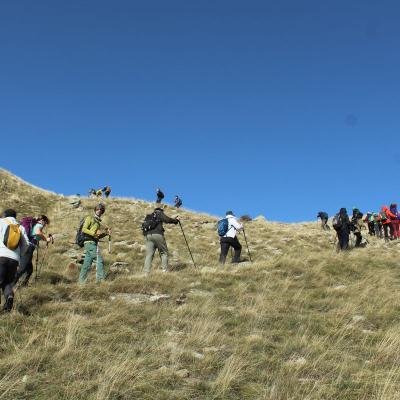 Diasxisi Grammeni Oxia Fysi4