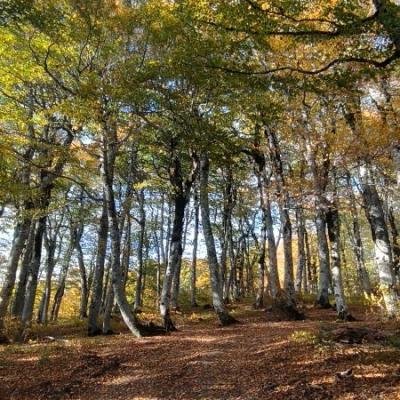Diasxisi Grammeni Oxia Fysi7