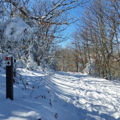 Pezoporia Monopati Dasous Karyes Parnonas16
