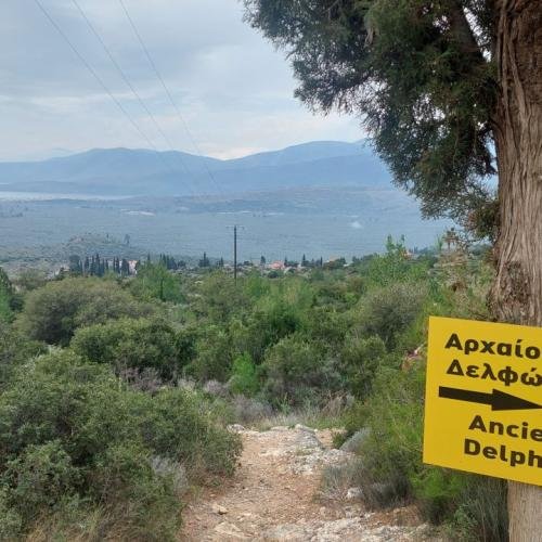 Μονοπάτια Πολιτισμού: Δελφοί - Κίρρα, Ένα Ταξίδι στην Ιστορία