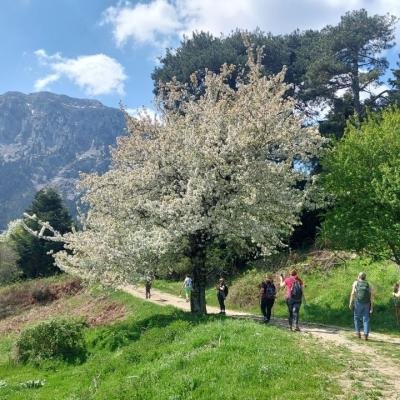Pezoporia Limni Doxa Tourkovrysi Kerasia10