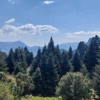 Pezoporia Limni Doxa Tourkovrysi Kerasia11