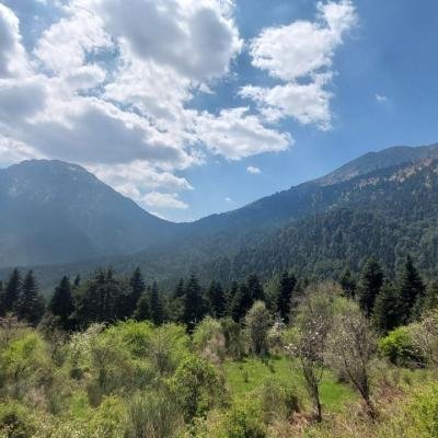 Pezoporia Limni Doxa Tourkovrysi Kerasia16