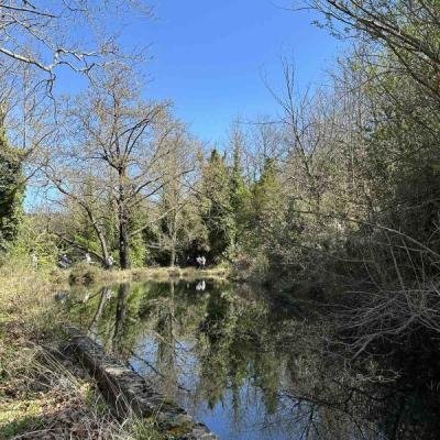 Pezoporia Monopati Dasous Karyes Lakonias2