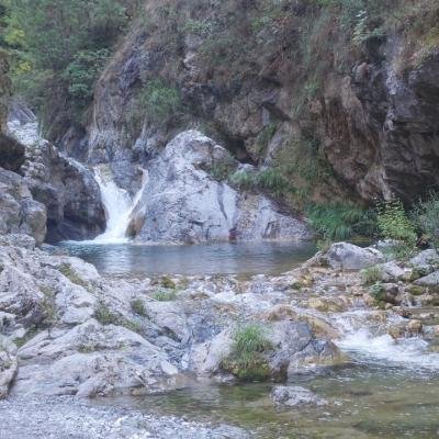 Pezoporia Farangi Enipea12