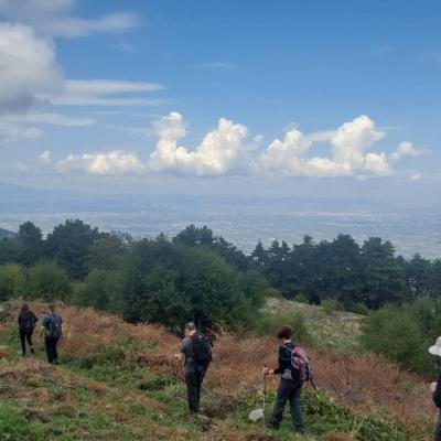 Pezoporia Farangi Enipea1