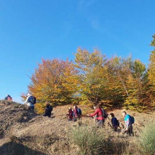Diasxisi Grammeni Oxia Fthinoporo 10